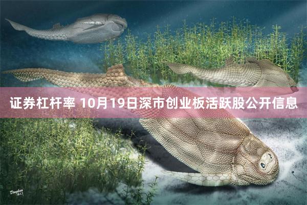 证券杠杆率 10月19日深市创业板活跃股公开信息