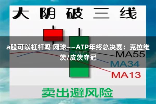 a股可以杠杆吗 网球——ATP年终总决赛：克拉维茨/皮茨夺冠