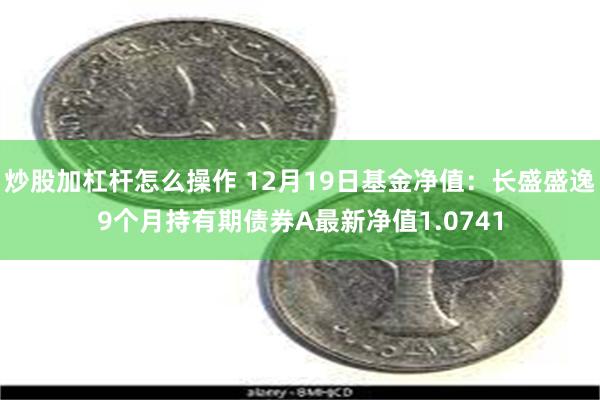 炒股加杠杆怎么操作 12月19日基金净值：长盛盛逸9个月持有期债券A最新净值1.0741