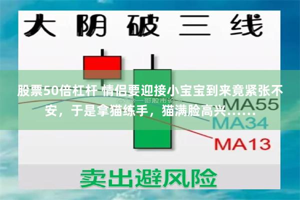 股票50倍杠杆 情侣要迎接小宝宝到来竟紧张不安，于是拿猫练手，猫满脸高兴……