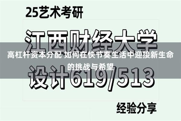 高杠杆资本分配 如何在快节奏生活中迎接新生命的挑战与希望