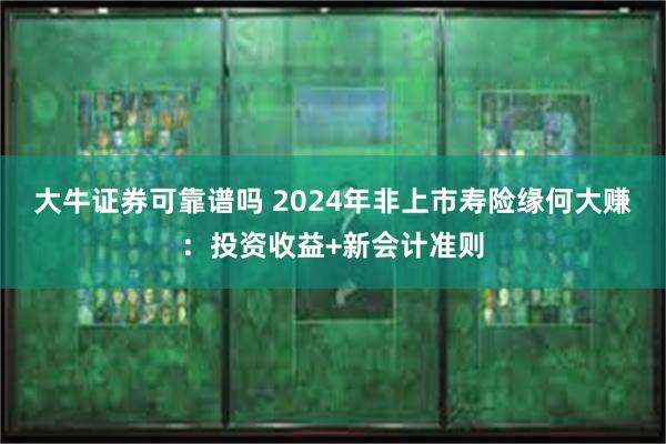 大牛证券可靠谱吗 2024年非上市寿险缘何大赚：投资收益+新会计准则