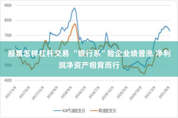 股票怎样杠杆交易 “银行系”险企业绩普涨 净利润净资产相背而行