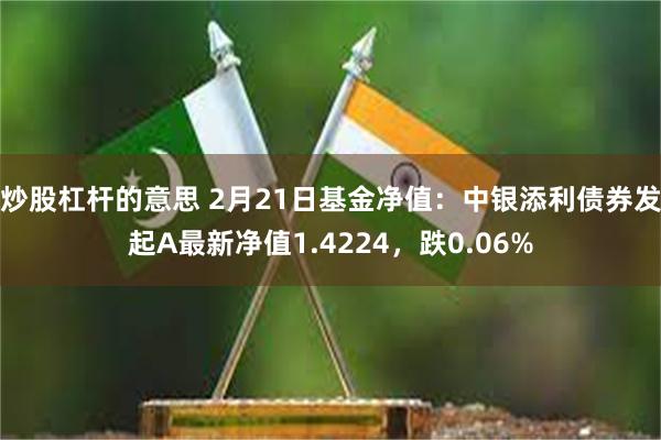 炒股杠杆的意思 2月21日基金净值：中银添利债券发起A最新净值1.4224，跌0.06%