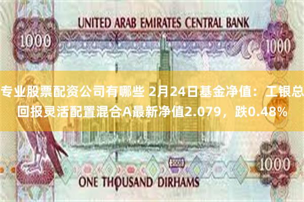 专业股票配资公司有哪些 2月24日基金净值：工银总回报灵活配置混合A最新净值2.079，跌0.48%